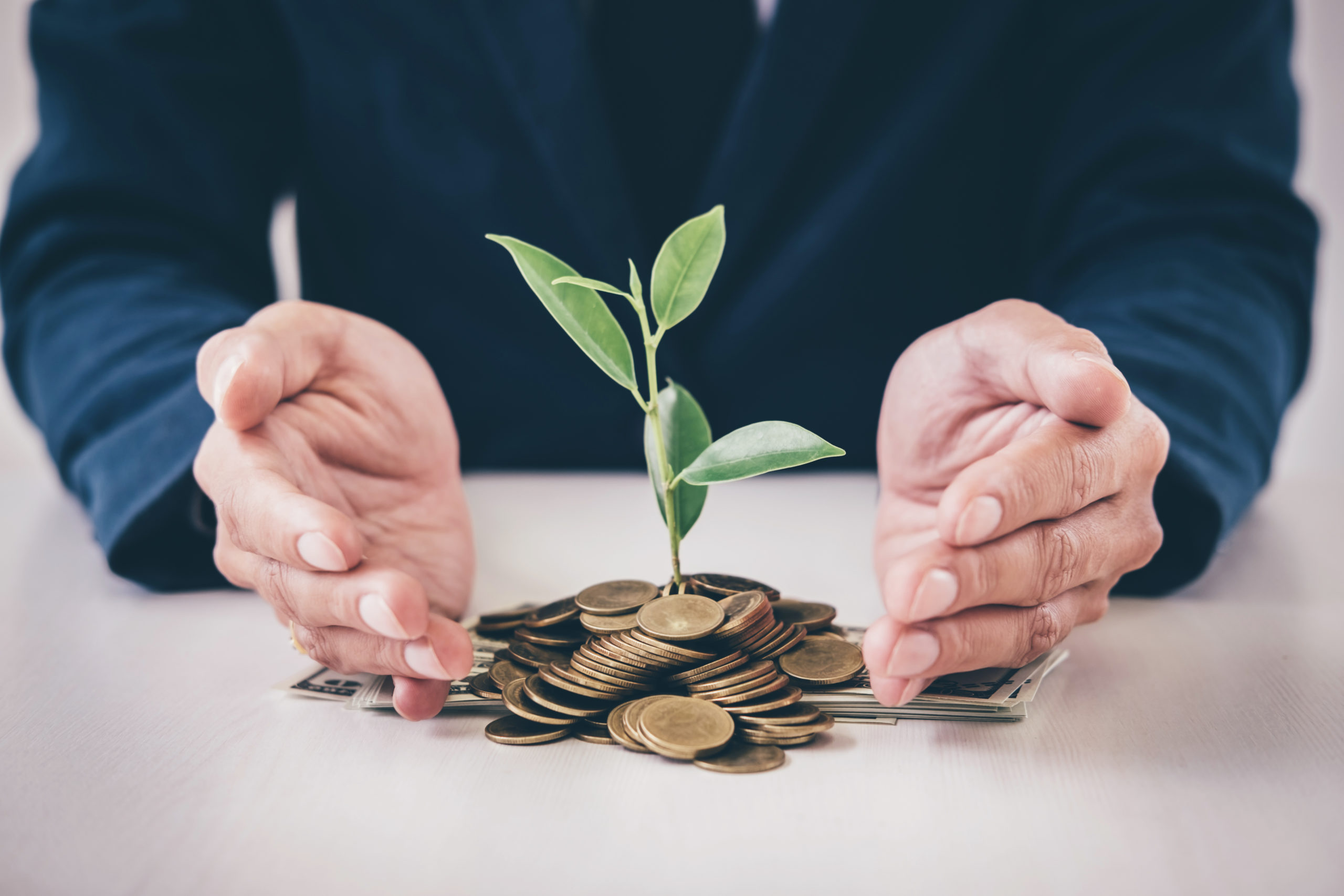 Hands of businessman protection plant sprouting growing from gol